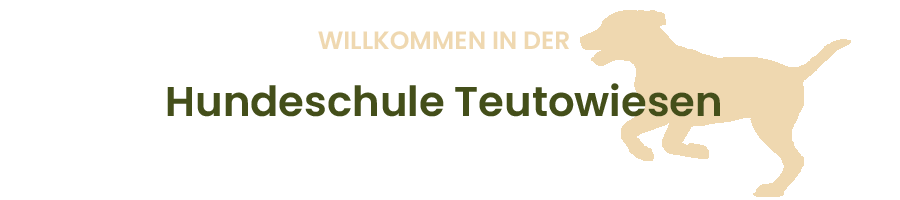 Hundeschule Teutowiesen in Ibbenbüren mit Leinenführigkeit und Hundeerziehungsberatung